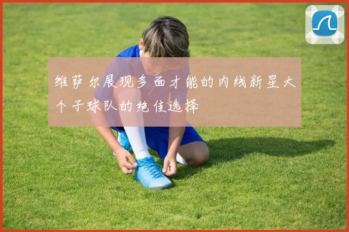 维萨尔展现多面才能的内线新星大个子球队的绝佳选择